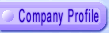 Company Profile